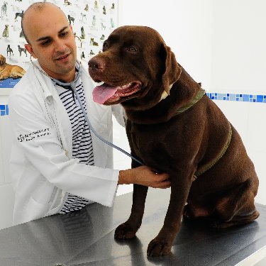 Dr. Fernando Almeida