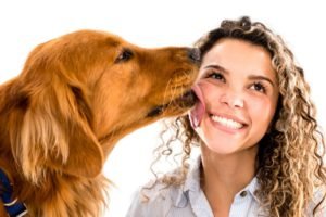 Medo Fogos de Artifício - Respeito e Cuidado