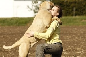 Cachorro: Você salva uma vida que pode salvar a sua