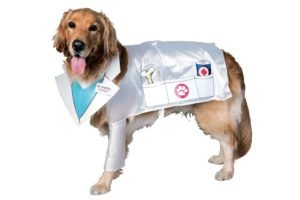 Piometra - Tratamento