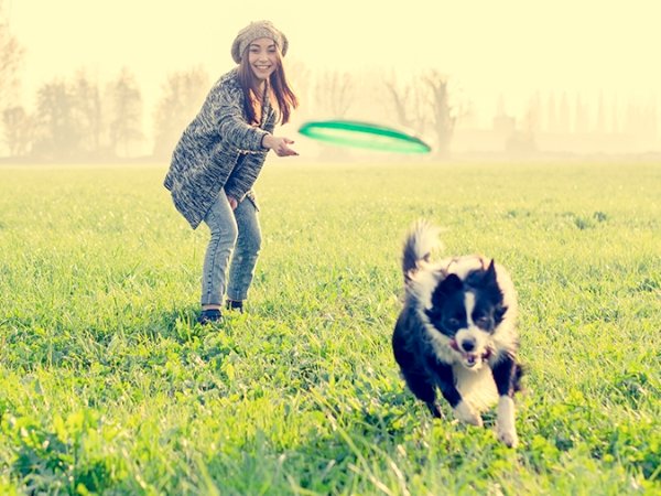 Brincar Com Cachorro - Jogar e Pegar