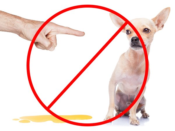 Xixi no Lugar Certo: Brigar pode ter um efeito ruim