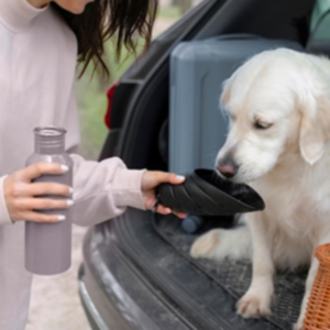 cachorro hidratação