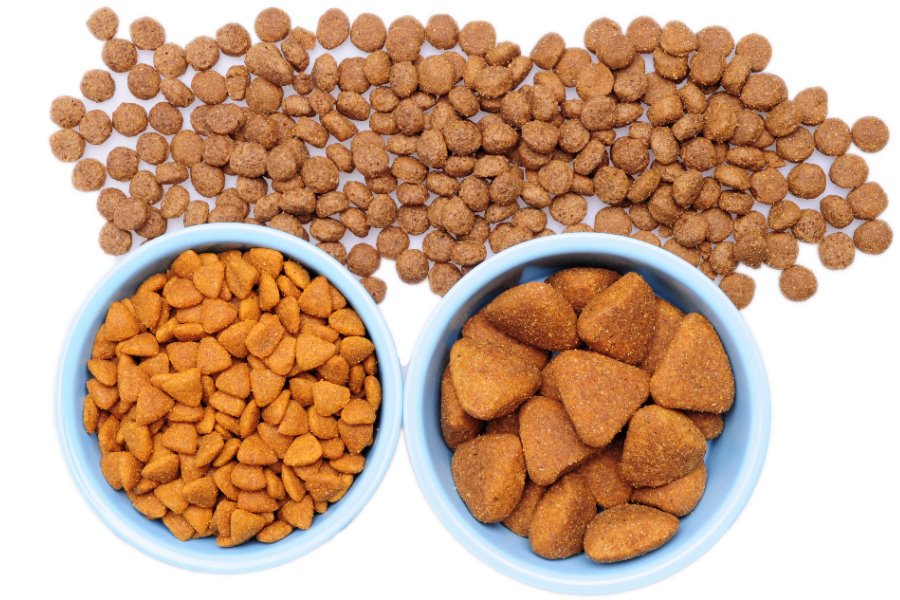 O tamanho do grão do alimento realmente importa?