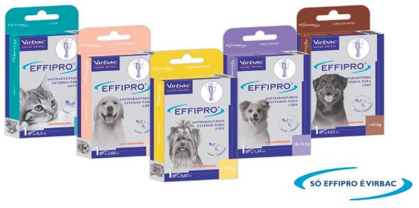 Como lidar com a Infestação por pulgas e carrapatos