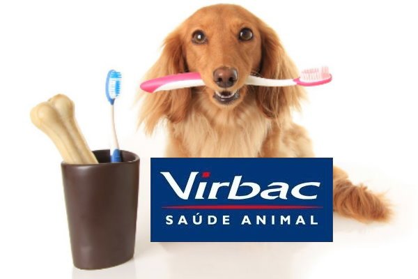 Halitose – O mau hálito em cães e gatos