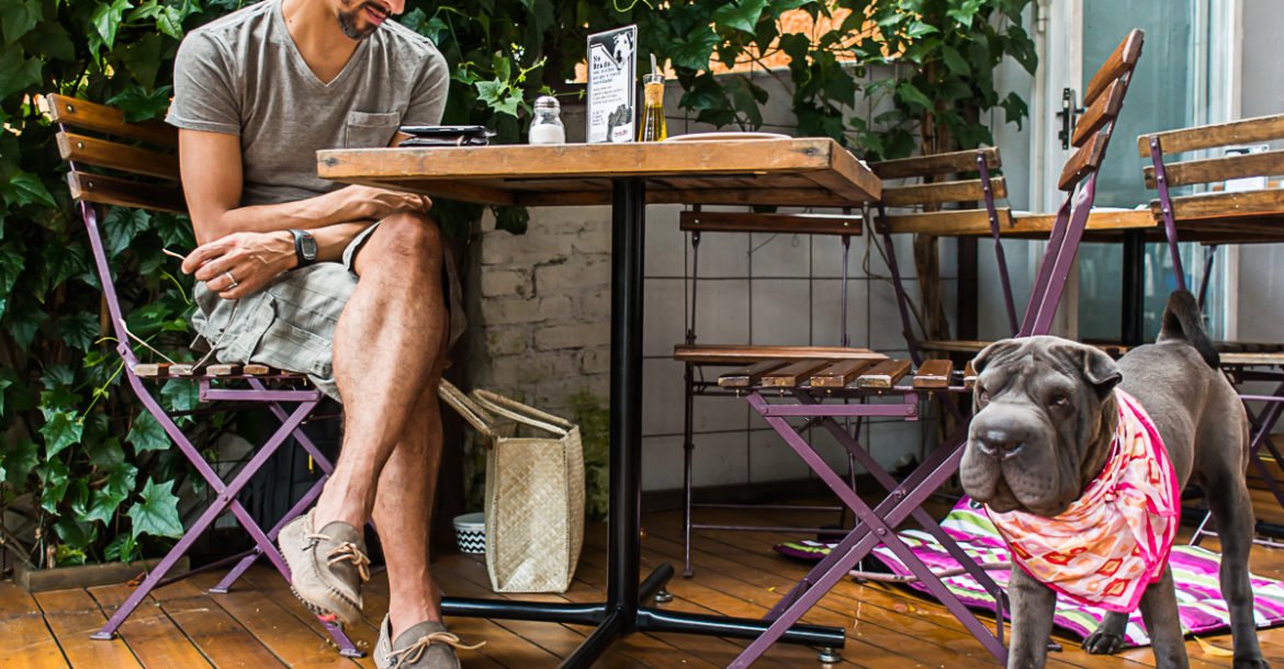 5 locais em São Paulo para passear com cachorro