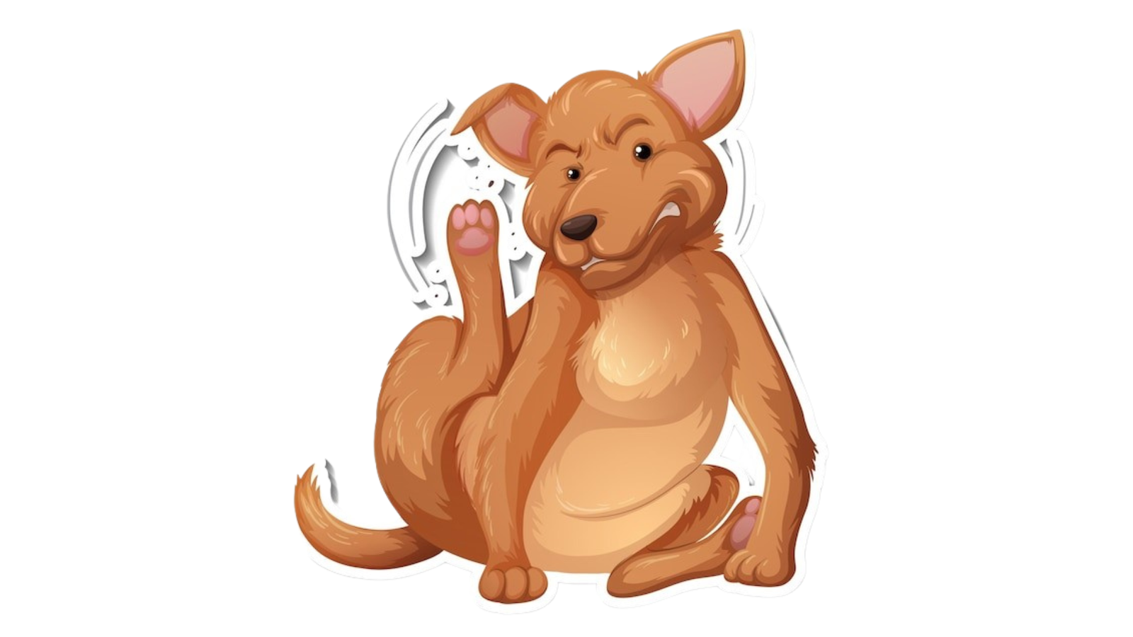 Pulgas e Carrapatos, o que podem causar nos seus pets? | Jardim França